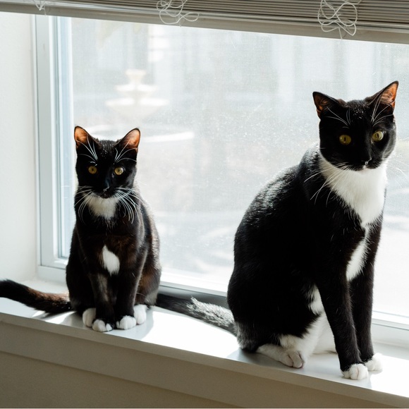 Meet your Posher, Taylor ❤️🌼🛍️ - Picture 2 of 2